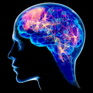 artistic visualization of a human brain lit up with colorful connections of neuroplasticity